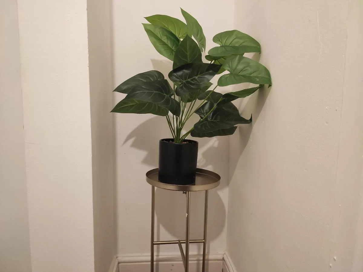 Whitchurch 1 Bedroom Apartment Cardiff